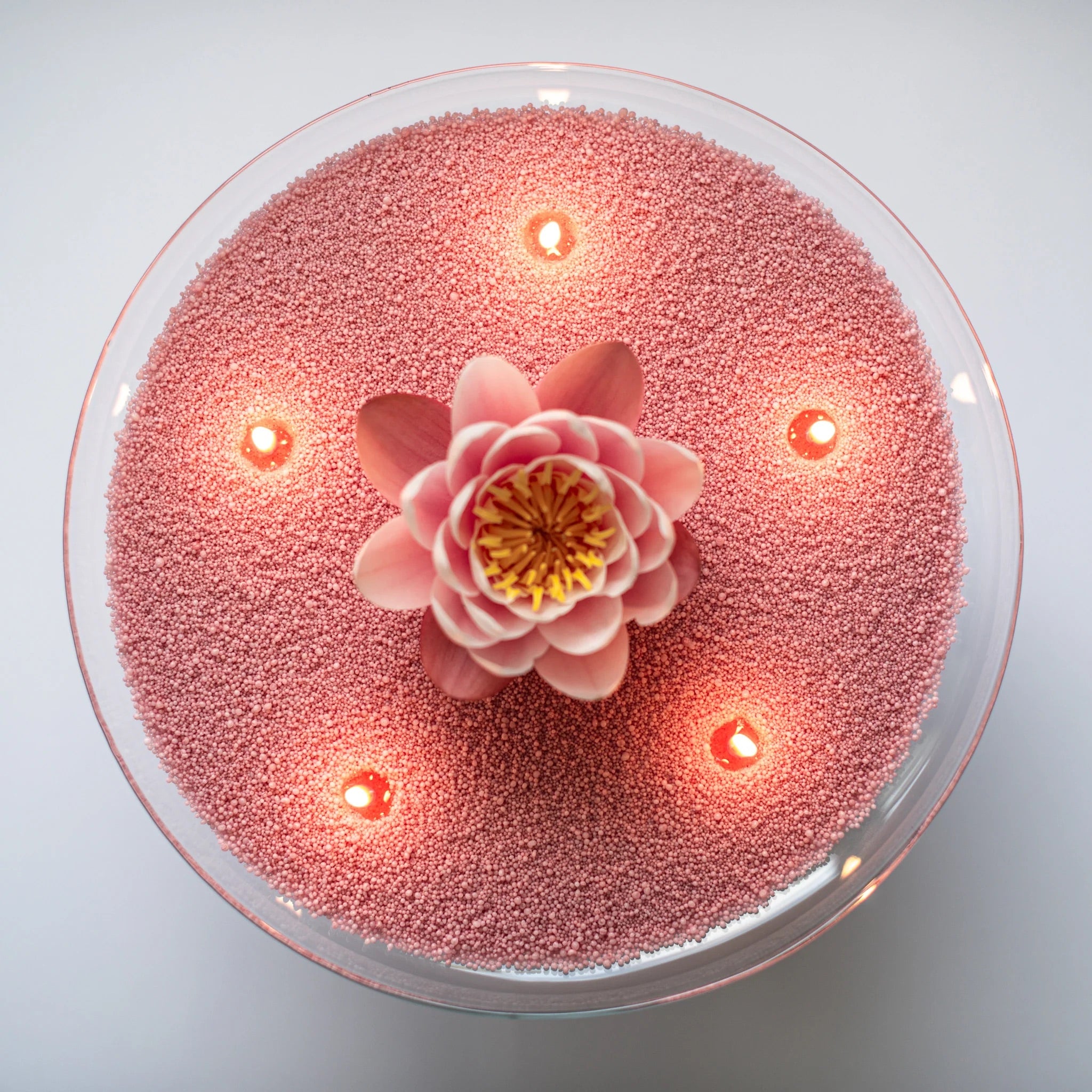 Sable Rosé